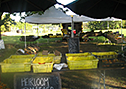 Picture of Blooming Hill farmers' market