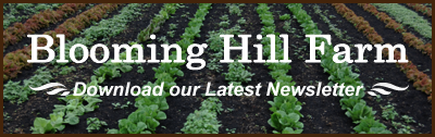 Download our Newsletter